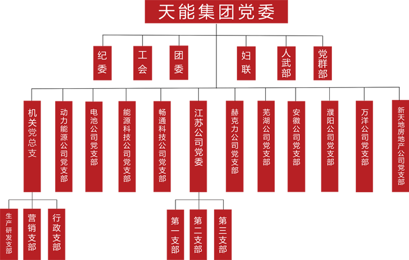 98堂论坛建团党委组织架构